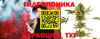 mdpv Камышлов